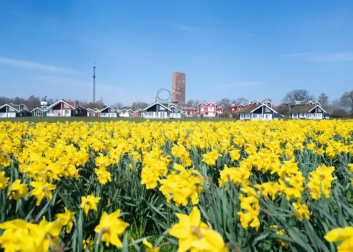 Strandpark H078 지르크도르프